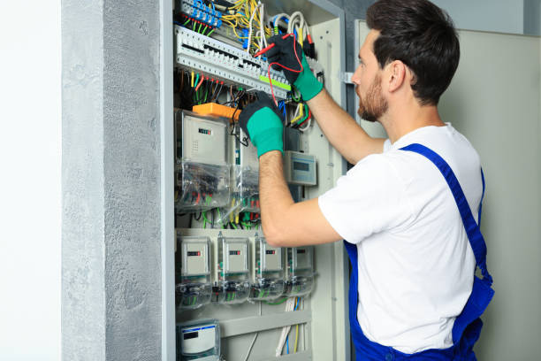 Best Electrical Outlet Repair  in North Alamo, TX